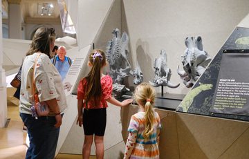 A family looking at casts of skeletons on display.