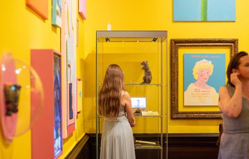 A person dress observes taxidermy rat inside glass display in colourful art gallery.