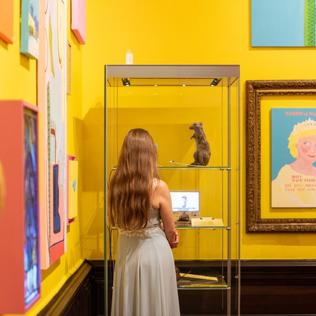 A person dress observes taxidermy rat inside glass display in colourful art gallery.