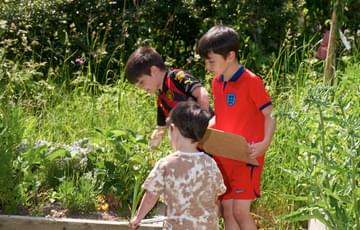 A group of children are outside in a garden looking at something in a flowerbed. One child holds a clipboard.