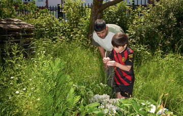 A adult and a child are outside in a garden. The child holds a small plastic container and they both are looking into it.