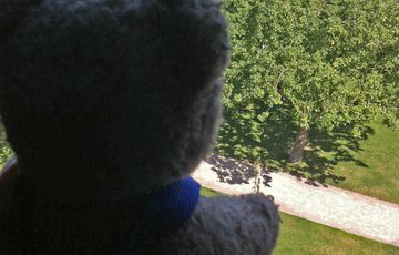 A teddy looking out of a window.