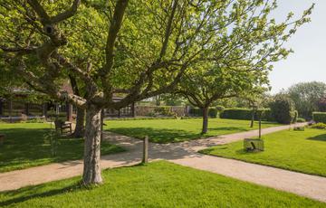 Garden with fruit trees and two paths crossing