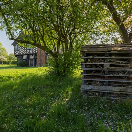 A large 'bug hotel' made of layers of wood is situated under two trees.  Blakesley Hall Tudor building is in the background.