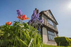 Spring flowers in front of a timber-framed house