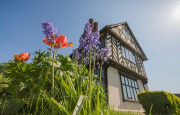 Spring flowers in front of a timber-framed house