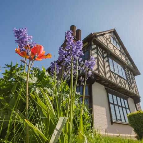 Spring flowers in front of a timber-framed house