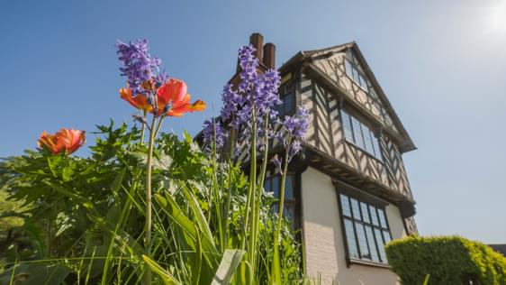 Spring flowers in front of a timber-framed house