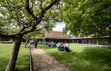 A tree framing the path in the garden. To the side of the path visitors are sitting on picnic benches on the grass.