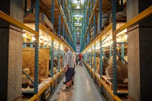 Racks in a large storage area containing stone sculptures