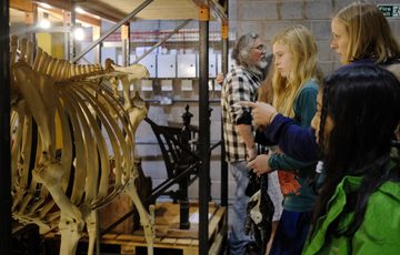 A group of adults and children looking a animal skeleton that is on display.
