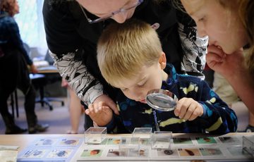 Two children and an adult with a magnifying glass looking at bugs on display.