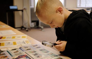 A child with a magnifying glass looking at bugs on display.