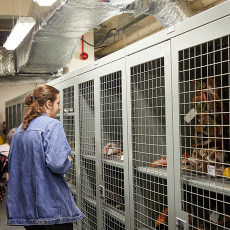 People looking into a cupboards with collection items inside.