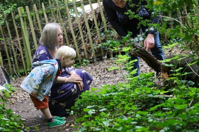 A young child with an adult curiously examining the vegetation