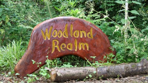 A wooden sculpture with the words 'Woodland Realm' carved into it.