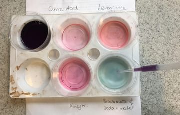 Experiment: coloured liquids in beakers.