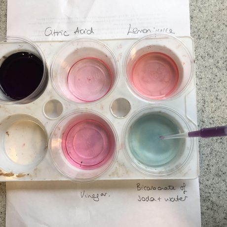 Experiment: coloured liquids in beakers.