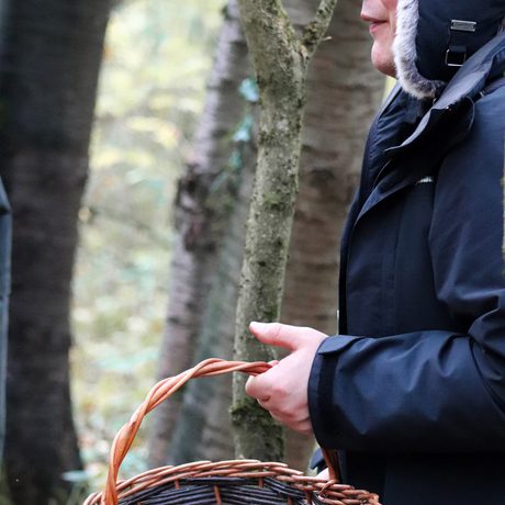 An adult is holding a basket on fungi with trees in the background.