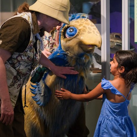 Child and adult interact with a colourful, large bird-like dinosaur puppet.
