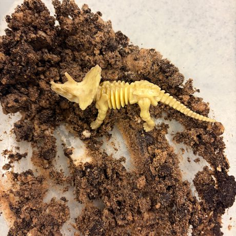 A toy dinosaur triceratops surrounded by from mud and dirt.