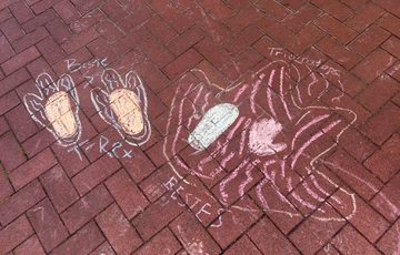 A chalk drawing of dinosaur footprints on a blocked paved floor.