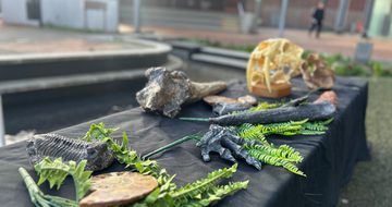 A table set up with fossils and leaves.