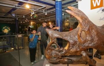 A family looking at a fossilised triceratops head.