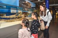 An adult and two children looking into a display case containing a fossilised ichthyosaur.
