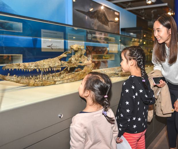 An adult and two children looking into a display case containing a fossilised ichthyosaur.