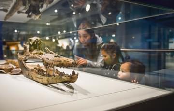 An Ichthyosaur skull in glass case with a family looking into it.