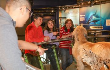 Adults looking at taxidermy animals on display.