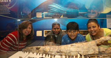 A family looking at an ichthyosaur skull in a display case.