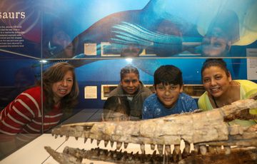 A family looking at an ichthyosaur skull in a display case.
