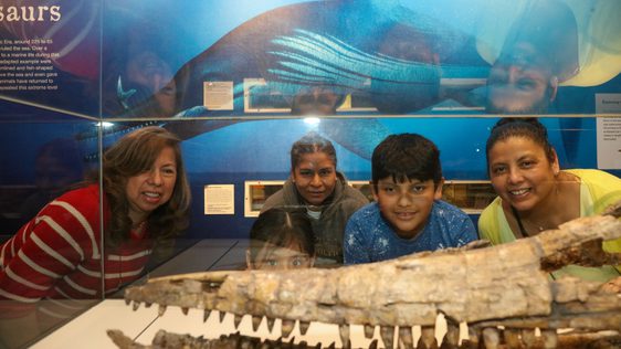 A family looking at an ichthyosaur skull in a display case.