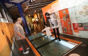 Two adults and a child walking over a jurassic crocodile in a display case built into the floor.