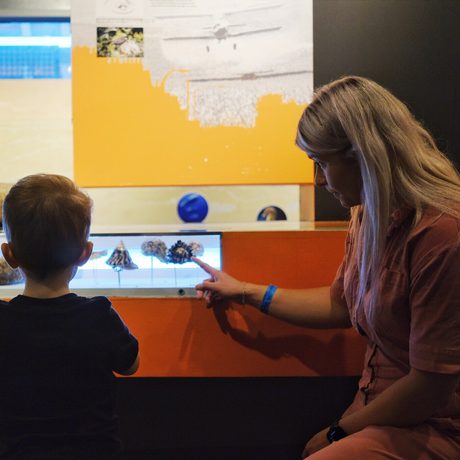 Woman and child examining small fossilised objects in a gallery.