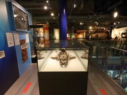 Museum exhibit with ichthyosaur skull display.