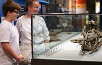 A woman and boy observe a large, ancient fossilised ichthyosaur in a museum display.