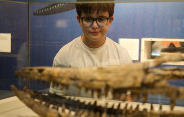 Young boy wearing glasses observes an ancient wooden ship model displayed behind glass.