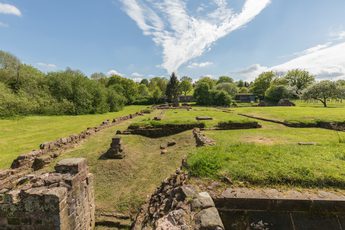 Wide view of castle ruins running into distance in a field surrounded by trees