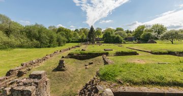 Wide view of castle ruins running into distance in a field surrounded by trees