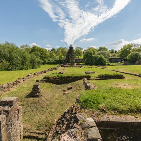 Wide view of castle ruins running into distance in a field surrounded by trees