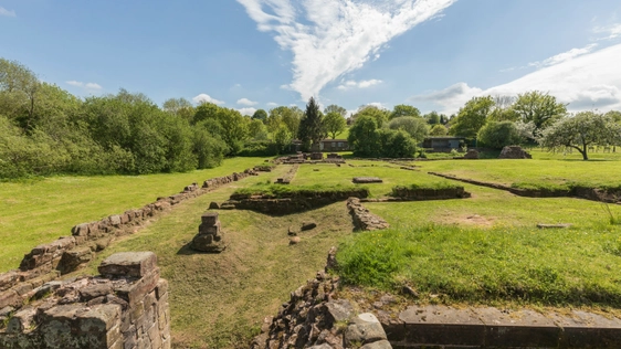 Wide view of castle ruins running into distance in a field surrounded by trees