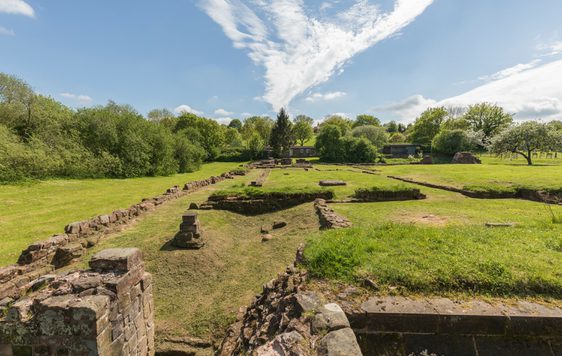 Wide view of castle ruins running into distance in a field surrounded by trees