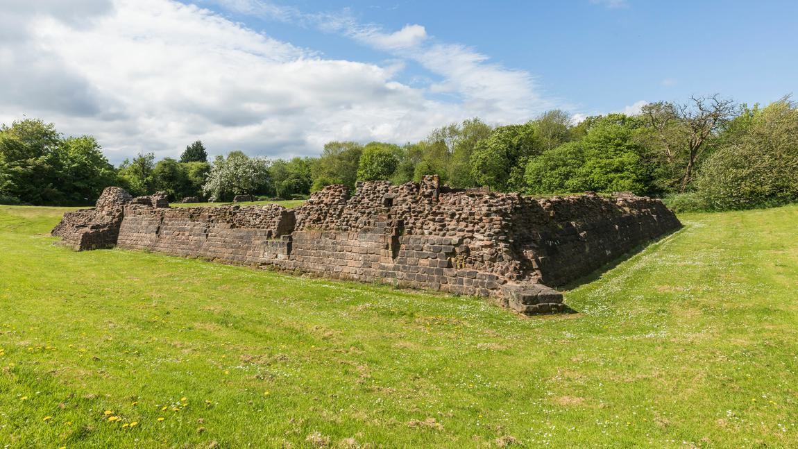 Wide view of castle ruins in a field surrounded by trees