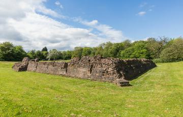 Wide view of castle ruins in a field surrounded by trees