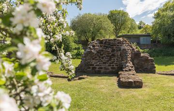 Close up of tree blossom with the ruins and events building in the background.