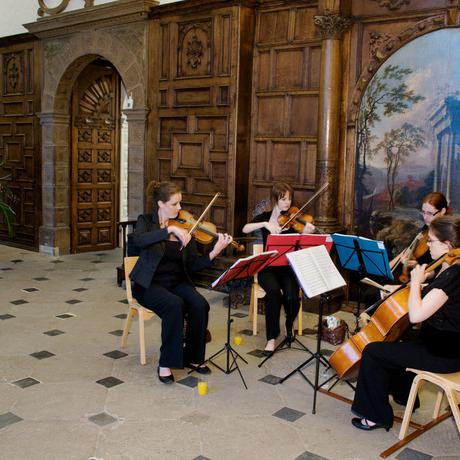 Four people sitting down, playing string instruments