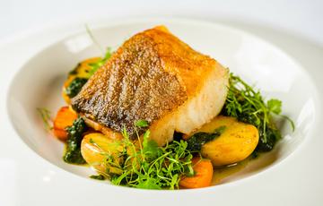 A dish with a piece of fish on a bed of potatoes and carrots.